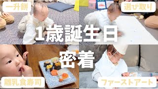 【密着】1歳の誕生日の日の１日に密着しました！一升餅、選び取り、ファーストアート、離乳食寿司、プレゼント開封も！！