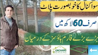 | لاہور | بیدیاں روڈ | سوا کنال کا خوبصورت پلاٹ | صرف 60 لاکھ میں | ORCHARD GREENS | فارم ہاؤسز