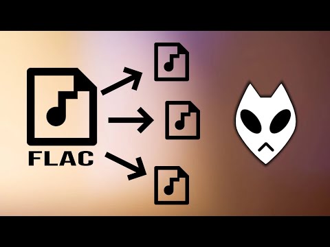 FLAC File (What It Is and How to Open It)