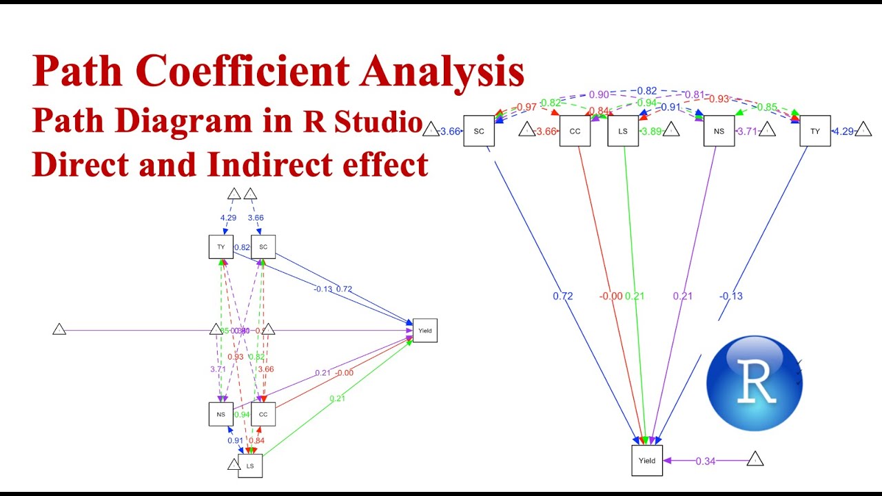 Path Coefficient Analysis Path Diagram In R Studio Direct And