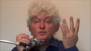 Tims Tiny Tunes #022: Db, Bebop, Level 4, masterclass, Play-along lessons | Jazz harmonica licks