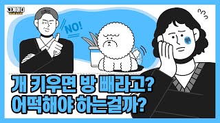 개 키운다는 세입자, 안 된다는 집주인 | 전셋집 반려동물 키우기