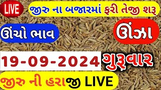 Jeera na bhav | 19-09-2024 | જીરું ના ભાવ:2024 | live cumin trading in  APMC | commodity Trend