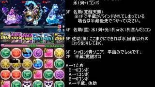 【パズドラ】　伝説の星海　高速周回