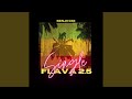 FLAVA 2.5 (single)