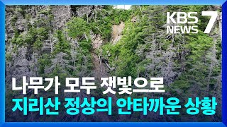 지리산 곳곳 ‘산사태 지뢰밭’…“폭우 뒤 등산로도 위험” / KBS  2023.07.10.