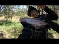 ตกปลา rainbow trout ในป่าออสเตรเลีย🎣🇦🇺 ประสบการณ์ครั้งแรก