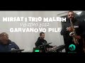 mirsat i trio berovo garvanovo pile