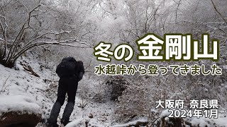 【週末さんぽ】冬の金剛山 もみじ谷を歩きました/大阪府 奈良県/2024年1月27日