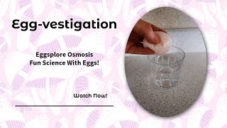 An Egg-speriment in Osmosis - Hands-On Learning