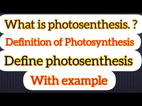 What is photosynthesis one word answer?