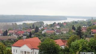 River Dunav (Aljmaš)