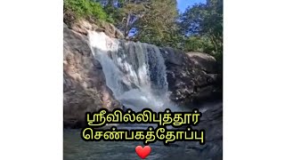 Shenbagathoppu | Srivilliputtur | Peace | Heaven | Srivi Memes | Ranjith Bhavshan