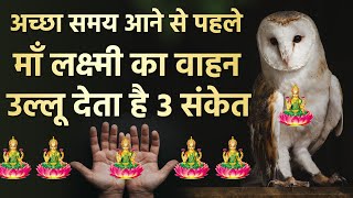 माँ लक्ष्मी का वाहन उल्लू देता है ये 3 संकेत भूलसे भी दुर्लक्ष ना करे | Vastu tips