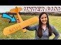 Ultimate RC Plane Guide for Beginner RC Pilots PART 1 - HobbyZone Champ - TheRcSaylors