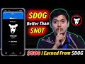 Confirmed $800 Earned 🤑 - DOGS Claim Now Telegram Bot & Steps To Withdraw - Airdrop DOGs BOT 2024 😍