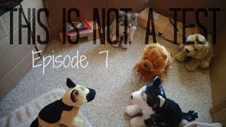 This is Not a Test - Episode 7 : With Knowledge Comes Doubt