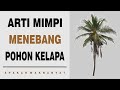 Arti Mimpi Menebang Pohon Kelapa