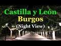 [[SPAIN-BURGOS]] Walking inside Burgos city of Castilla y León  27/JUL/2020 11:15 pm