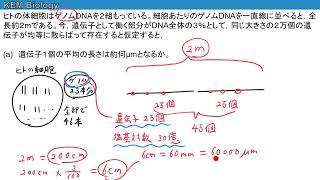 高校生物「遺伝子に関する計算問題（やや難）」