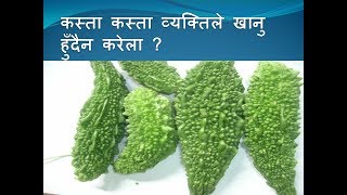 कस्ता कस्ता व्यक्तिले खानु हुँदैन करेला ? ,who cannot eat bitter gourd?