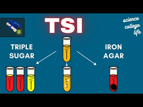 What are the indicators incorporated in the TSI medium?