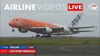 🔴LIVE: Exciting HONOLULU (HNL) Airport Action!