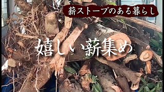 【薪集め】久しぶりに薪をいただきに行ったら思わぬ出会いが！/薪集め/田舎暮らし/薪ストーブ生活　vlog.44