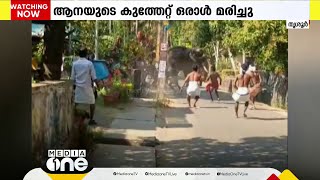 തൃശ്ശൂരിൽ ആനയുടെ ആക്രമണത്തിൽ ഒരാൾ മരിച്ചു