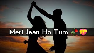 Meri Jaan Ho Tum 👩😘 Romantic Shayari Status 2020 | Love Shayari Status | Peotry | MZ Edit
