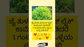 ಜೈ ತುಳಸಿ ಭಗವಾನ್ ಲೈಕ್ ಕಾಮೆಂಟ್ ಮಾಡಿದರೆ 1 ಗಂಟೆಯೊಳಗೆ ಒಳ್ಳೆಯ ಸುದ್ದಿ ಪಡೆಯಿರಿ