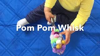 Pom Pom Whisk (Ages 1+)