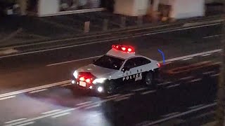 パトカー　緊急走行