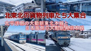 北東北の貨物列車大集合