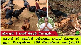 மாதம் 50,000 சம்பளம் பகுதி நேரமாக தூய பெருவிடை 100 கோழிகள் வளர்ப்பு ??