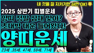 2025 을사년 상반기 양띠 운세! 23세/35세/47세/59세/71세 여러분 꼭 보세요 ~ 양띠 정말 삼재 맞아? 초대박 대운이 들어왔으니 내 것을 잘 지키만 하면 OK입니다!