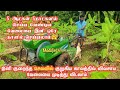 இனி முதிர்ந்த வாழைக்கட்டையை அகற்று ஆட்கள் தேவையில்லை⁉️| Modified Kirloskar powertiller