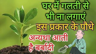 घर में गलती से भी ना लगाएं इस प्रकार के पौधे अन्यथा आती है बर्बादी ! वास्तु के अनुसार यह पौधे गलत है घर में गलती से भी ना लगाएं इस प्रकार के पौधे अन्यथा आती है बर्बादी ! वास्तु के अनुसार यह पौधे गलत है