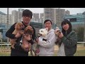 洪卓立 ken hung《內有愛犬》 lyrics mv