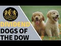 Dividend Dogs of the DOW