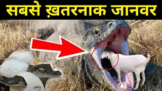 World Most Dangerous Animal | Duniya ka sabse khatrnak janwar #shorts_video #factshorts