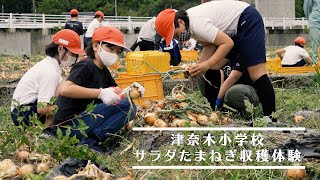 津奈木小学校サラダたまねぎ収穫体験（2021年度）