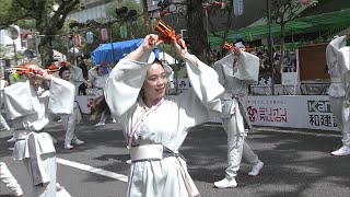 「夏帰鳥～なつきちょう～」第70回よさこい祭り