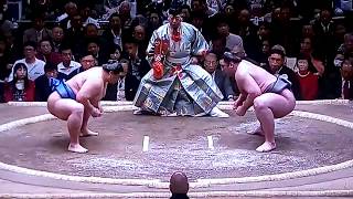 Shoudai vs Tochinoshin Sumo[Hatsu Basho 2018 First Day, January 14th] 20180114