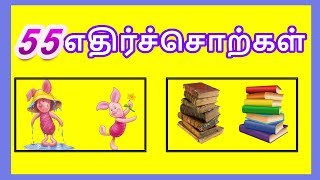 குழந்தைகளுக்கான எதிர்ச்சொற்கள் -  தமிழரசி |learn opposite words in Tamil for Kids \u0026 children