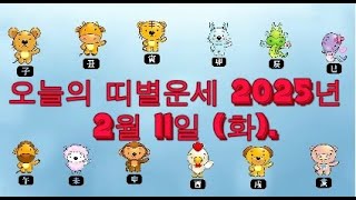 오늘의 띠별운세 2025년 2월 11일 (화).