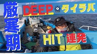 【厳寒期のDEEP鯛ラバで爆釣！？】釣果の厳しいこの時期にHIT連発