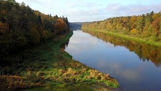 Virš Lietuvos: skrydis virš Nemuno ir Punios šilo. Lietuva  iš viršaus. 4K Lithuanian nature aerial