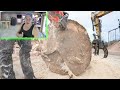 busting huge logs