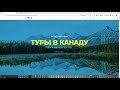 13 уникальных шаблонов для sp page builder pro. Обновление